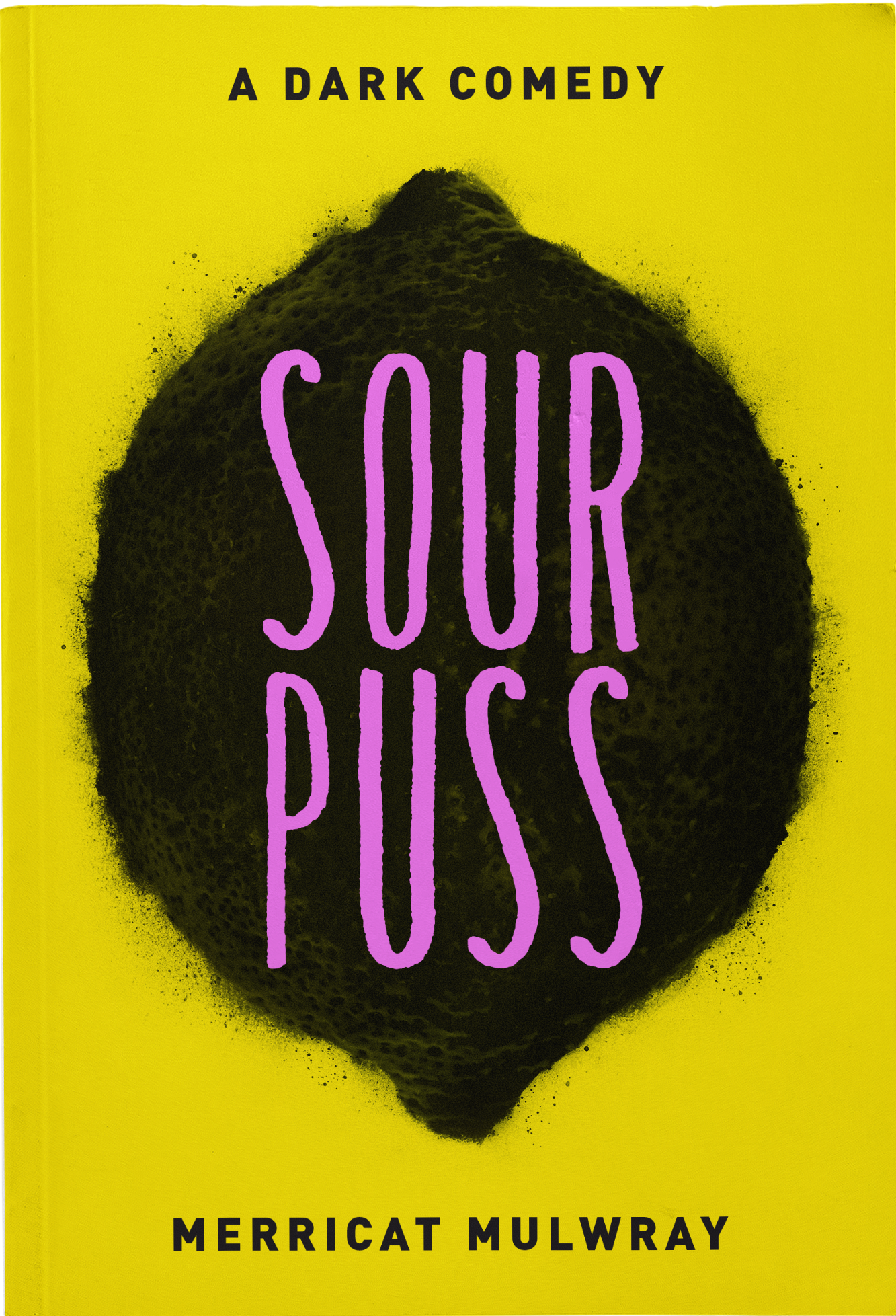 Sourpuss Paperback Book Cover